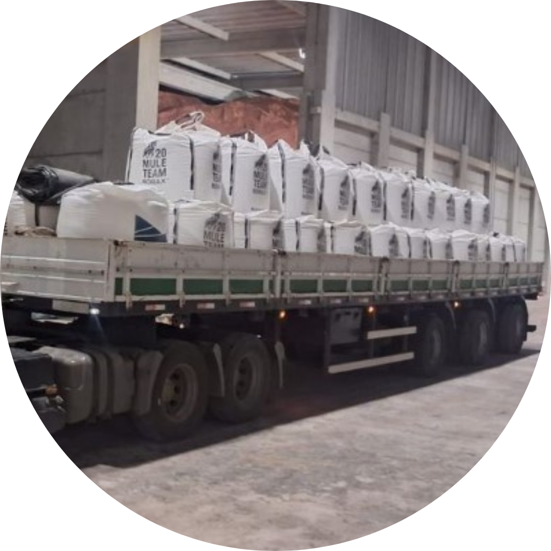 Foto de perfil para redes sociais gradiente simples 22.png